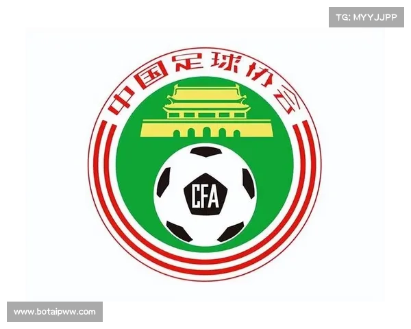 为什么中国足协与队徽设计风格不同背后的深层原因解析
